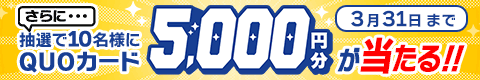 QUOカードプレゼントキャンペーン